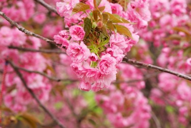 杭州滨江区1线下个人借款平台一站式服务，轻松解决资金难题