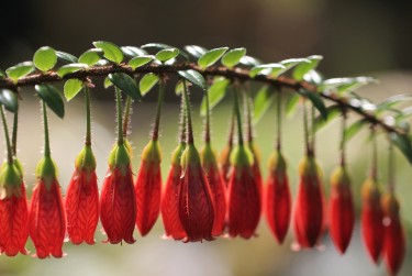 杭州滨江区1零用贷短借：轻松解决临时资金需求