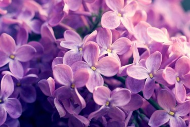 杭州滨江区1企业急用钱贷款攻略：快速融资解燃眉之急